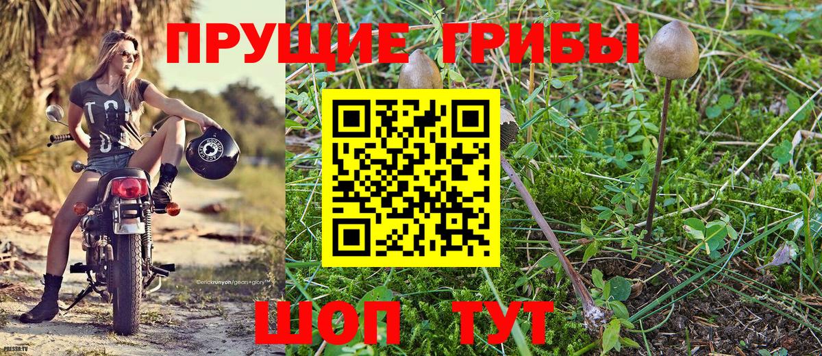 Галлюциногенные грибы Psilocybe  Галлюциногенные грибы ЛСД  Карпинск  Вход с VPN 